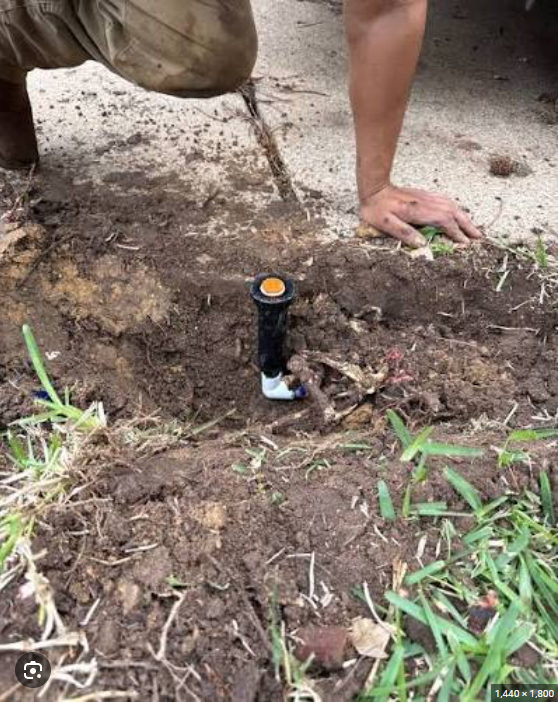 Jeff's photo of the new sprinkler head installed